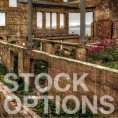 STOCKOPTIONS_600px
